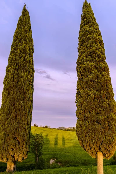 Val d'Orcia in Italy's Tuscany province — Stock Photo, Image