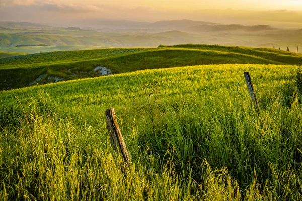 Val d'Orcia v italské provincii Toskánsko — Stock fotografie