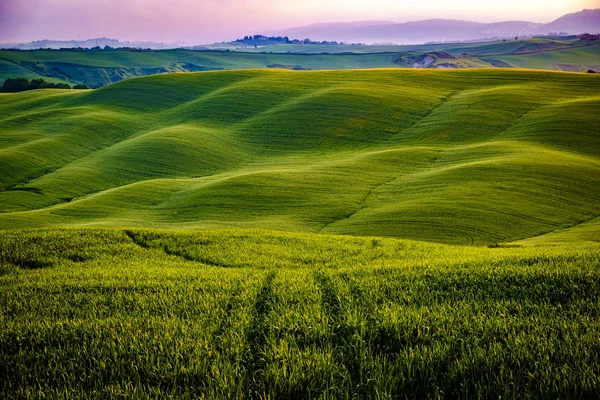 Val d'Orcia dans la province italienne de Toscane — Photo