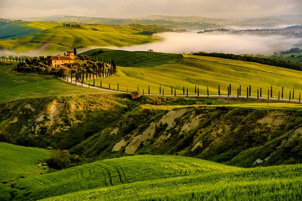 Val d 'Orcia en la provincia italiana de Toscana — Foto de Stock