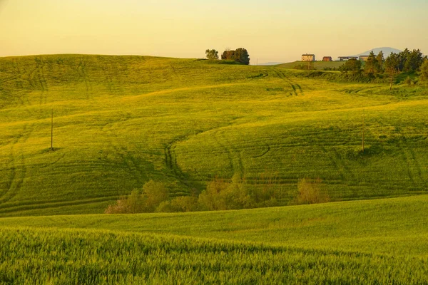 Val d 'Orcia na província italiana da Toscana — Fotografia de Stock