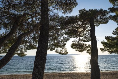 Makarska Rivera Hırvatistan Beach'de 