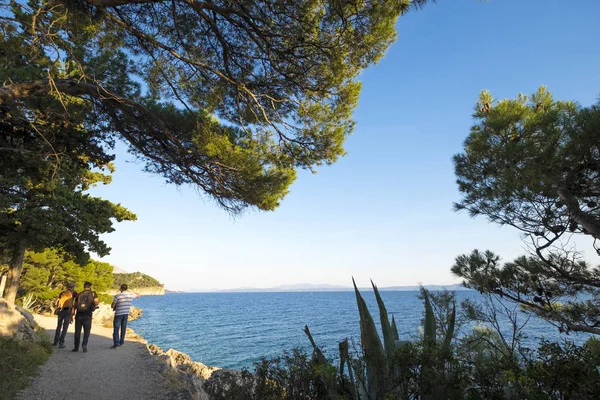 Hırvatistan Makarska Rivera Kentinde Park Suma Sveti Petar — Stok fotoğraf