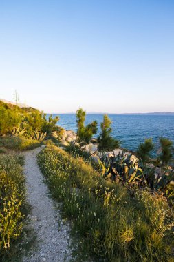 Hırvatistan 'ın Makarska Rivera kentinde Park suma sveti Petar 