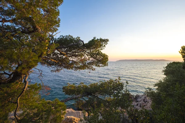 Hırvatistan 'ın Makarska Rivera kentinde Park suma sveti Petar — Stok fotoğraf