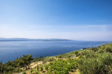 Zlatni Rat Brac Adası Murvica çevresinde peyzaj 