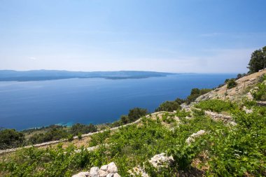 Zlatni Rat Brac Adası Murvica çevresinde peyzaj 