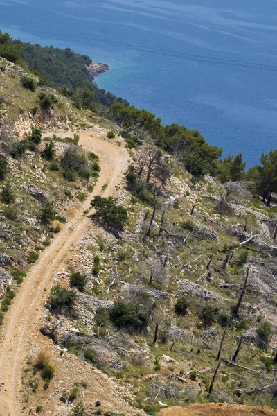 Deforestation in the Dalmatian coast in Croatia — Stock Photo, Image
