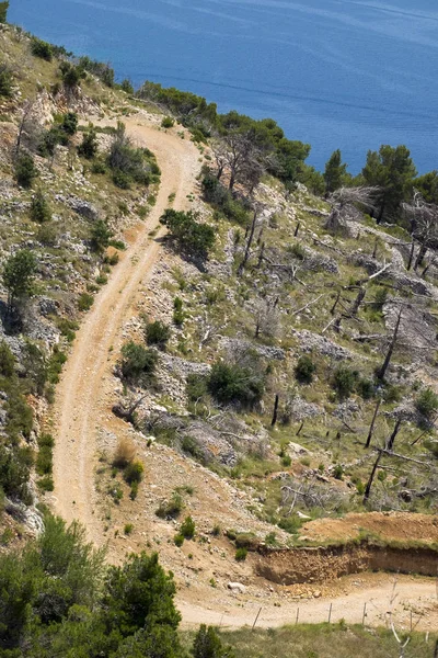 Deforestation in the Dalmatian coast in Croatia — Stock Photo, Image