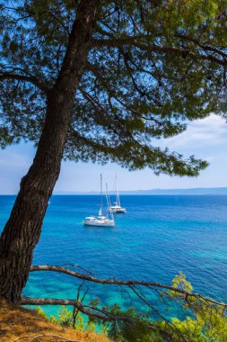 Hırvatistan'da en ünlü Zlatni rat Plajı olduğunu 