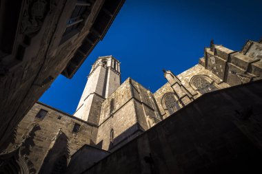 Santa Eulalia Barselona Katedrali ve Barselona Katedrali  