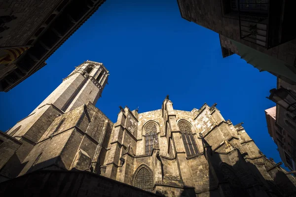 Собор Барселони або собор Санта-Еулалія-Барселона — стокове фото