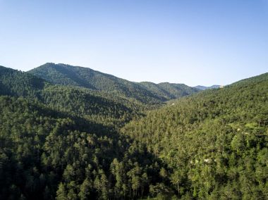 Bir ormanı Katalonya İspanya'nın havadan görünümü
