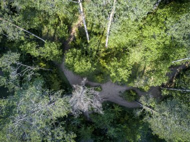 Bir ormanı Katalonya İspanya'nın havadan görünümü