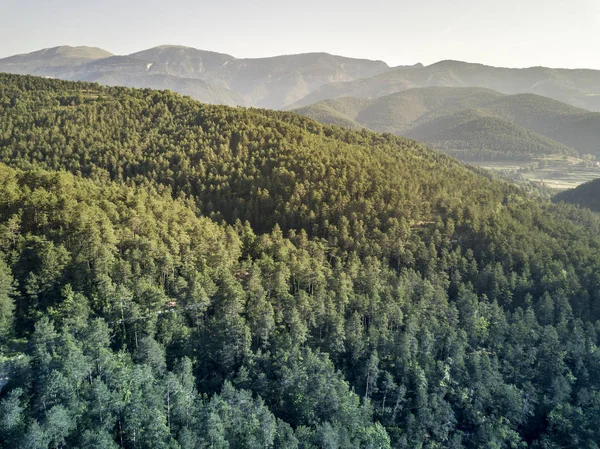 Vista aérea de un bosque en Cataluña España —  Fotos de Stock