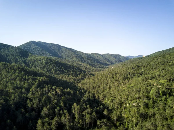 Luftaufnahme eines Waldes in Katalonien Spanien — Stockfoto