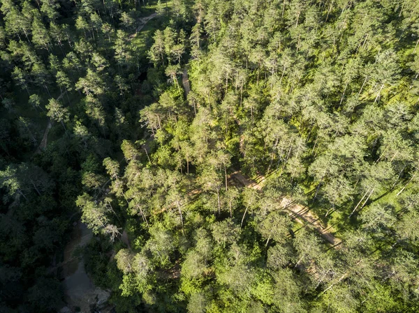 Bir ormanı Katalonya İspanya'nın havadan görünümü
