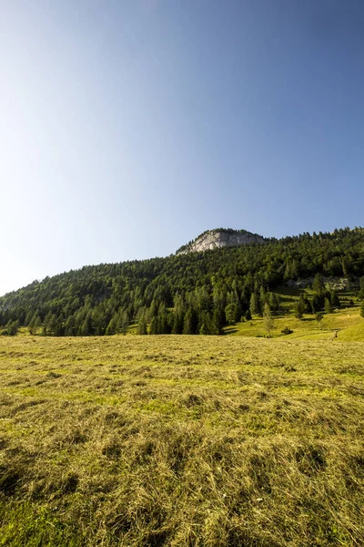 Paisaje en los Alpes de Austria — Foto de Stock