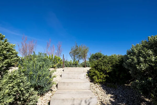 Сад і сходів у середземноморському парку — стокове фото