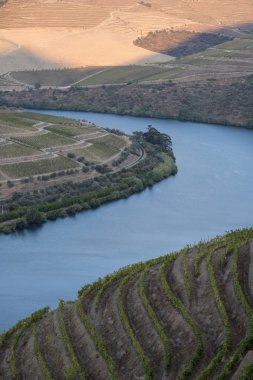 üzüm bağları ve Douro nehir, Alto Douro şarap Vadisi