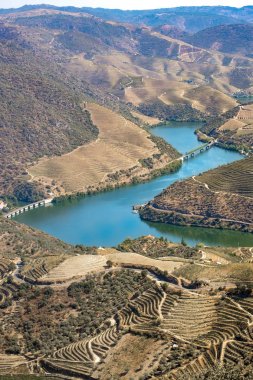 üzüm bağları ve Douro nehir, Alto Douro şarap Vadisi