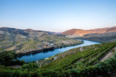 üzüm bağları ve Douro nehir, Alto Douro şarap Vadisi