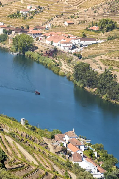 Landscape in the vineyards in Douro River Portugal — Stock Photo, Image