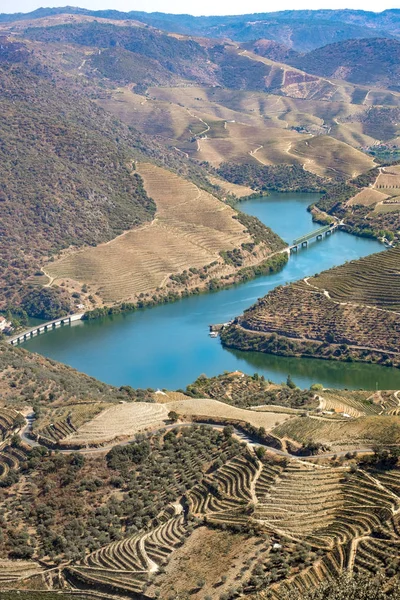 Winnice i rzeki Douro, Alto Douro Wine Valley Obrazek Stockowy