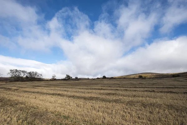 Paisaje rural alrededor del pueblo de Castilfrio España —  Fotos de Stock