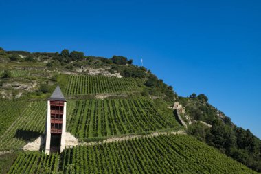 Bacharach Köyü Ren Rhineland-Palatinate, Almanya, Avrupa konusunda üzüm bağları