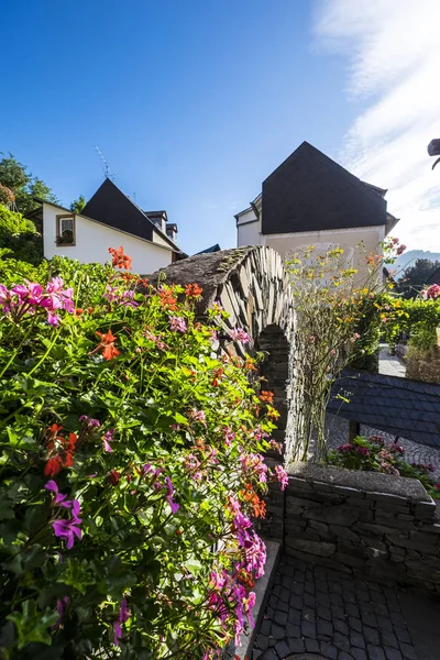 Utsikt över Bacharach i floden Rhen — Stockfoto