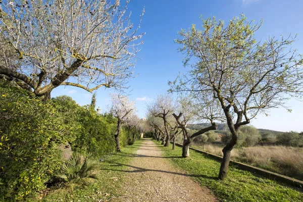 Parque Natural de Garraf — Fotografia de Stock