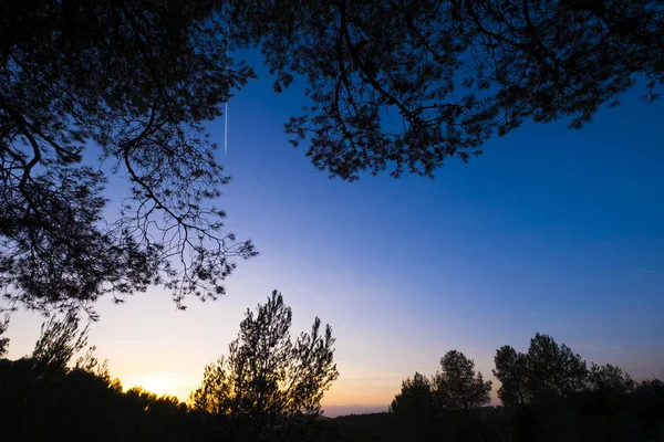 Φυσικό πάρκο του Garraf — Φωτογραφία Αρχείου