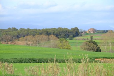 Greenfield ve Katalonya İspanya Barcelona Eyaleti'nde Mollet del Valles hill