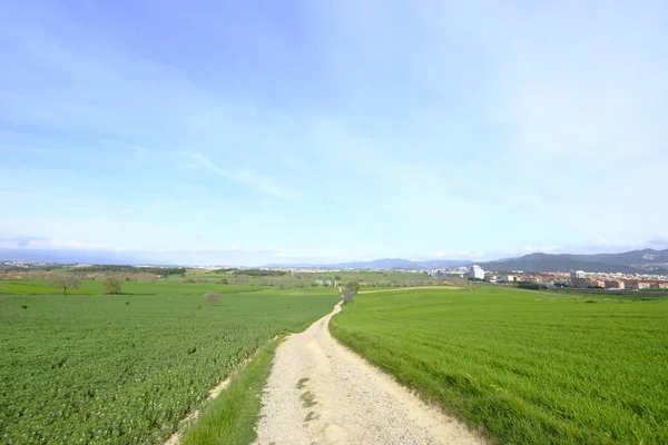 西班牙加泰罗尼亚巴塞罗那省摩勒 Del 水手乡村路在绿场之间的地平线 — 图库照片