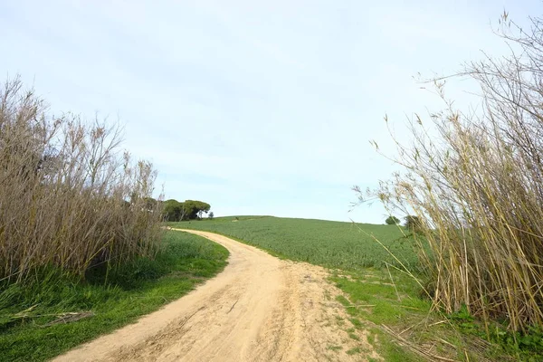 Carretera Campo Mollet Del Valles Provincia Barcelona Cataluña España Horizonte —  Fotos de Stock