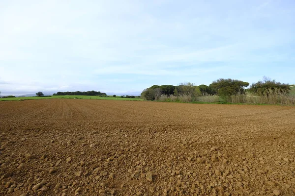 Landscape Agricultural Land Plains Recently Plowed Prepared Cultivation Mollet Del — Stock Photo, Image