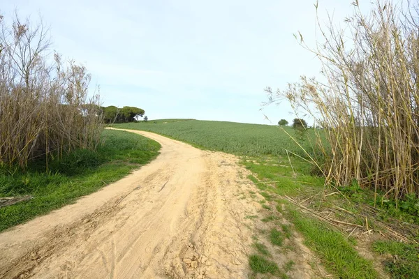 Estrada Rural Mollet Del Valles Província Barcelona Catalunha Espanha Para — Fotografia de Stock