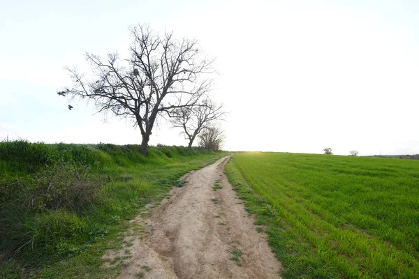 Estrada Rural Mollet Del Valles Província Barcelona Catalunha Espanha Para — Fotografia de Stock