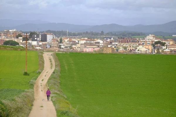 西班牙加泰罗尼亚巴塞罗那省摩勒 Del 水手乡村路在绿场之间的地平线 — 图库照片