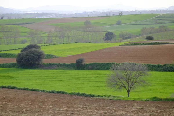 グリーン フィールドとカタルーニャ スペイン バルセロナ州モレ バレスの丘 — ストック写真