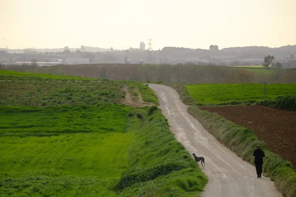 Landstraße Mollet Del Valles Barcelona Provinz Katalonien Spanien Zum Horizont — Stockfoto