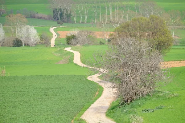 Landstraße Mollet Del Valles Barcelona Provinz Katalonien Spanien Zum Horizont — Stockfoto