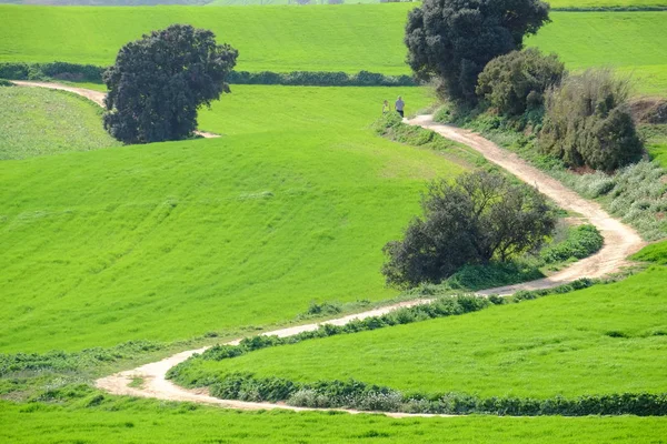 Landsväg Mollet Del Valles Barcelona Provins Katalonien Spanien Till Horisonten — Stockfoto