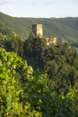 Kaub, Almanya - 12 Ağustos 2017: Gutenfels Kalesi, Kaub, Rhineland-Palatinate, Almanya, Europe