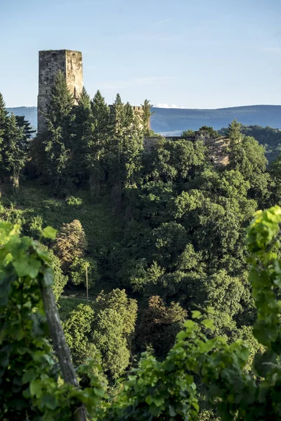 Kaub Niemcy Sierpnia 2017 Zamku Gutenfels Kaub Nadrenia Palatynat Niemcy — Zdjęcie stockowe