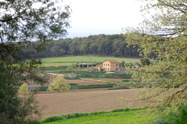 Mollet Del Valles Katalónia Spanyolország Április 2018 Táj Mezőgazdasági Földterületek — Stock Fotó
