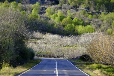 Kırsal yol Valle del Jerte vadisinde Extremadura İspanya