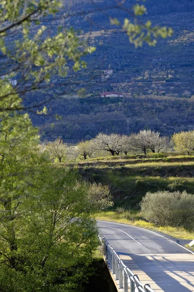 Деревенская Дорога Долине Valle Del Jerte Эстремадуре Испании — стоковое фото