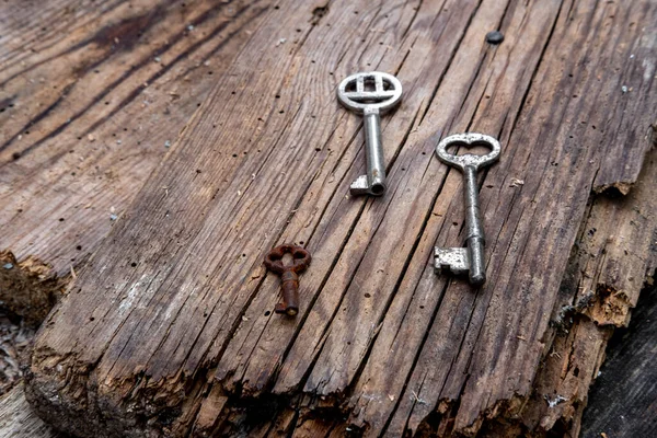 农村风化木板上不同尺寸的旧钥匙 — 图库照片